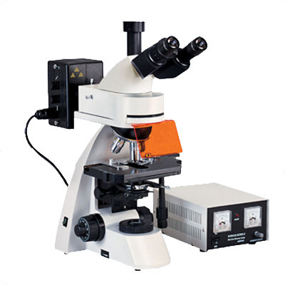 XSP-BM22AY科研級三目熒光顯微鏡