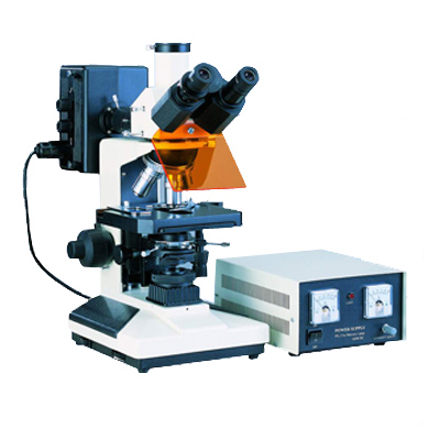 XSP-BM13C三目熒光顯微鏡