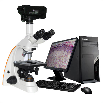 BM8A-SMUV定倍定標圖像顯微鏡