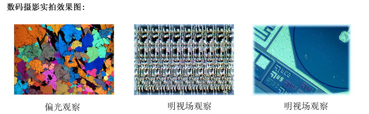 XJL-17AT倒置金相顯微鏡