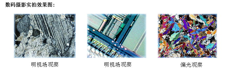 TL-101A大型正置金相顯微鏡