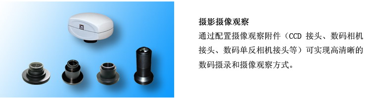 TL3003正置金相顯微鏡