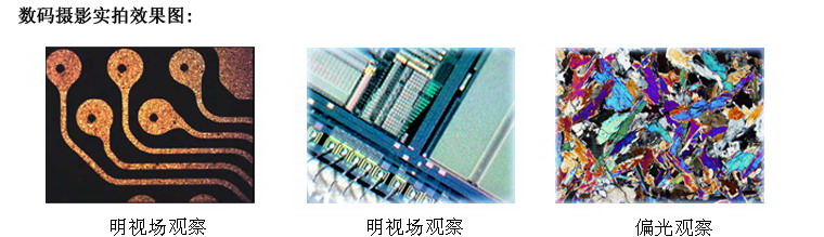 53X大型平臺正置金相顯微鏡
