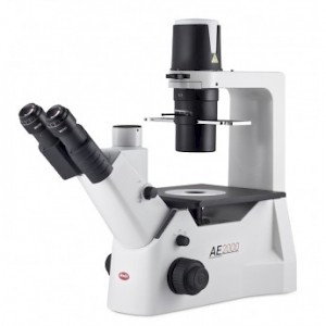 AE2000倒置生物顯微鏡
