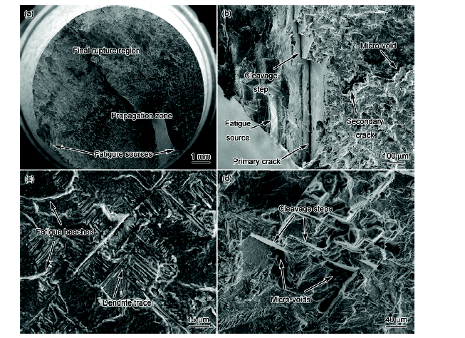 K416B鎳基鑄造高溫合金的700 ℃高周疲勞行為