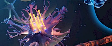 科學家使用微磁體遠程控制腦細胞
