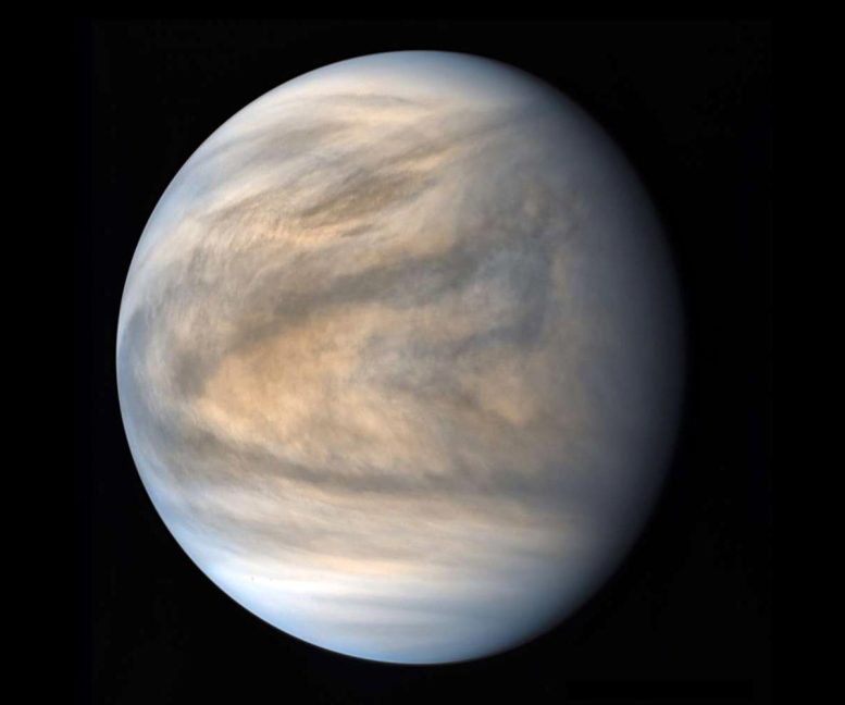 含硫金星云蓋