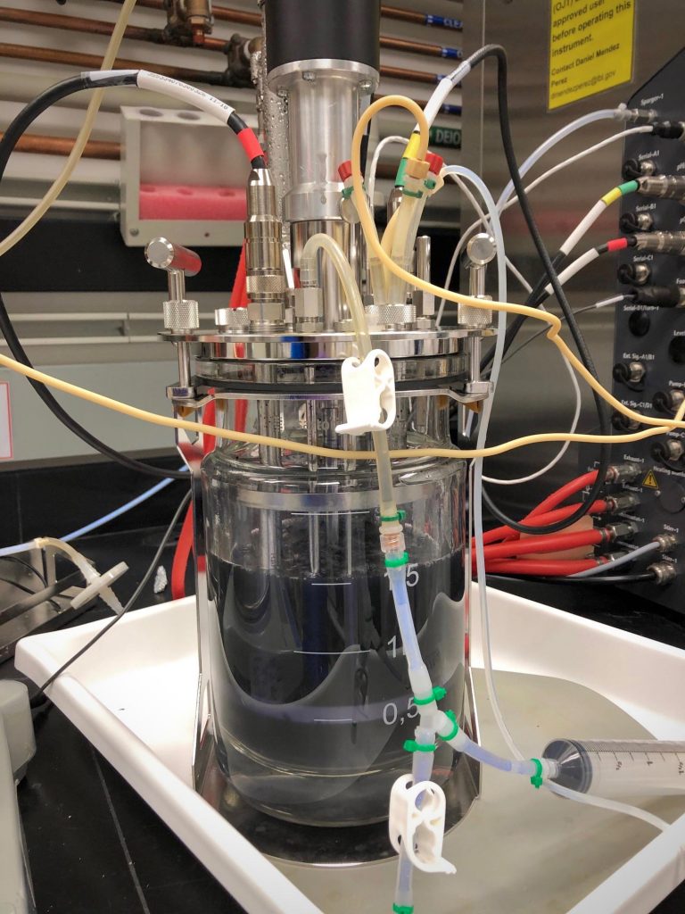 顯示藍色靛藍的生物反應器